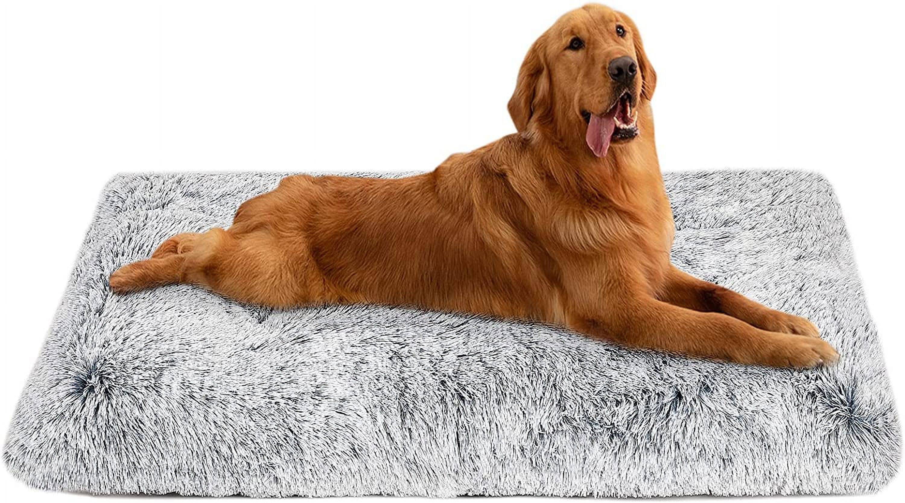 Which dog or cat would refuse a luxurious, comfortable, soft, and furry bed. Choose us, let's give your dog a truly comfortable and secure home.<br/>
Our pet mat is made of high-quality thick plush and PP cotton, Helps to relieve pet muscle pain， Never shedding or sticking hair, skin friendly and soft, filled with high-quality PP cotton with a thickness of nearly 5 inches, making the mat more breathable, soft and elastic, making it irresistible to dogs.<br/><br/>
The back material is made of Oxford cloth, which is wear-resistant and injection molded with anti slip particles, making it more thoughtful. No matter how the dog plays, the cushion will not move around, giving the dog a sense of security and making it easier for you to take care of your dog.<br/>
EASY CARE: The 6 keyhole fastening design helps keep the stuffing in place, so the dog bed is fully washable and holds its shape through multiple washes. Machine wash, gentle cycle, tumble dry low. Great as a dog bed, dog Pad,dog pillow, plush dog mat, cage pad, dog bed mat, or even a travel bed in your car or truck..and suitable for all seasons.<br/>
SIZES: dog crate pad measures 38 "L x 26" W x 4.5 "H and fits dogs up to 70 lbs. The pet bed arrives in a bag as a vacuum packed bed, just shake and pat it or let it inflate for about 24 hours..