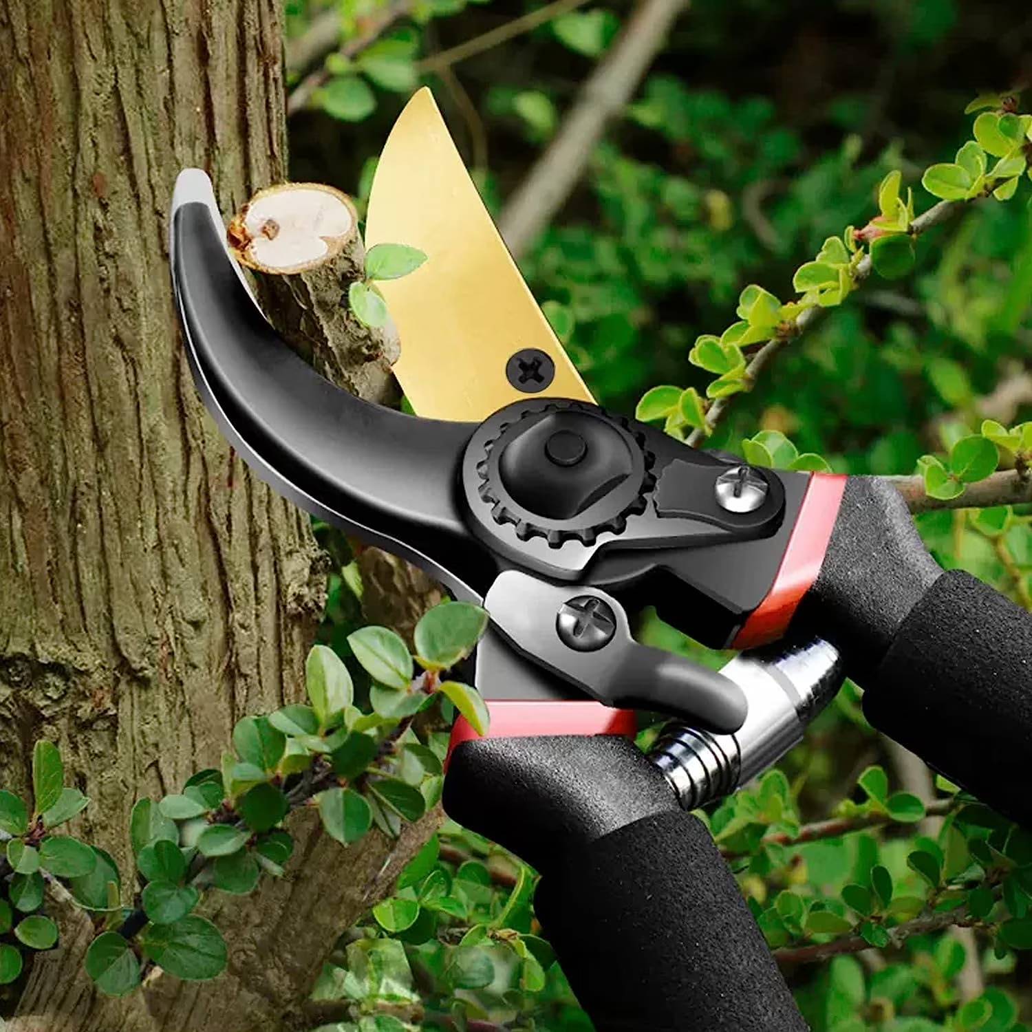 Product details

Specification：
Name: Garden tools - Pruning shears
Material: Titanium Steel + Alloy Steel
Color: Black
Size: 8.07x6.49x1.17 inch
Weight: 0.64 lb

Features:

✅These quality snips come with precision-sharpened blades and are ready to tackle all of your deadheading, trimming, and shaping needs for your roses, annuals, vegetable, bonsai and small flower gardens.

✅Low-friction coating resists rust, helps the blade glide through wood and prevents the pruner from gumming up with sap and debri.

✅Bypass blade design is ideal for pruning green, lawn shears,flower tools,living growth like ornamental shrubs and trees.

✅Anti-slip black cushion handle. Long handle grip garden shears with shock absorbing pads. Help Reduce Repetitive Hand Motion Injuries, Hand Fatigue & Wrist Strain.

✅Ideal Versatile Gardening Trimmers for General Yard, Farm Work, Hunting, Trail riding & Multi-Purpose Intensive Pruning.